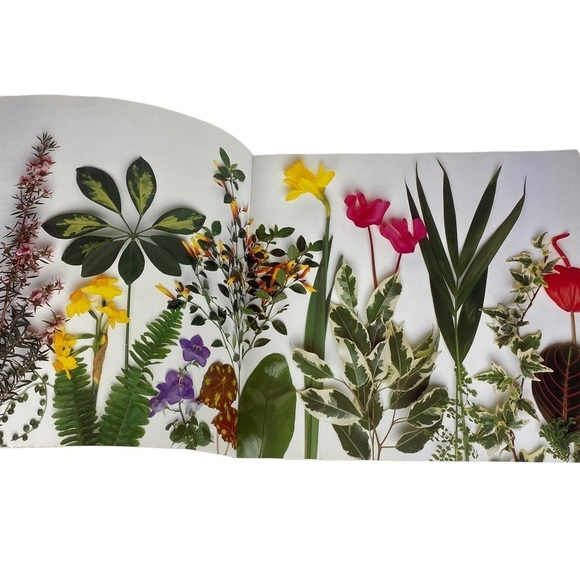 Houseplant Care Book Step by Step Guide 124 Pages Whitecap 1994 - Picture 3 of 11